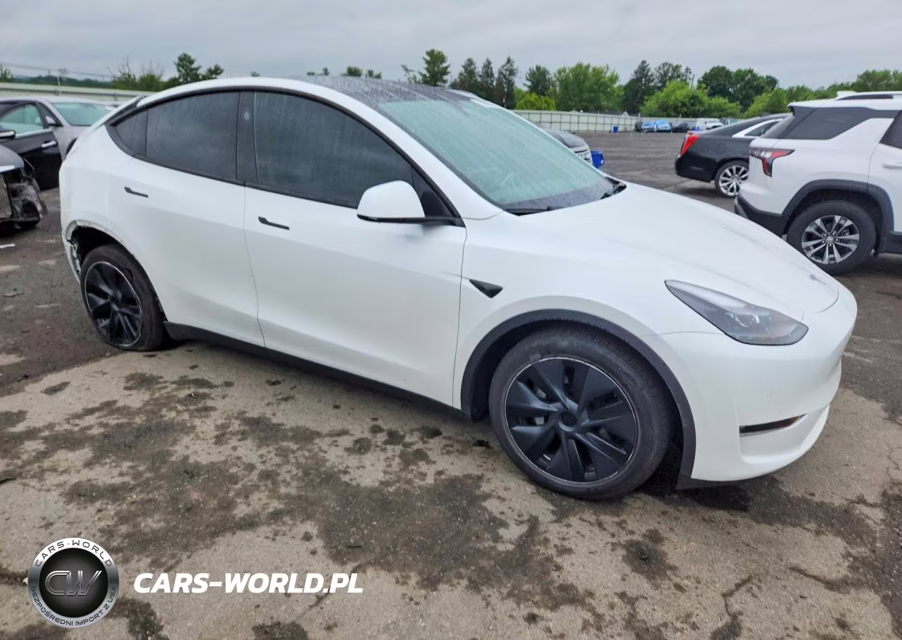 2024 Tesla Model Y VIN:7SAYGDEE1RF197224 - 4