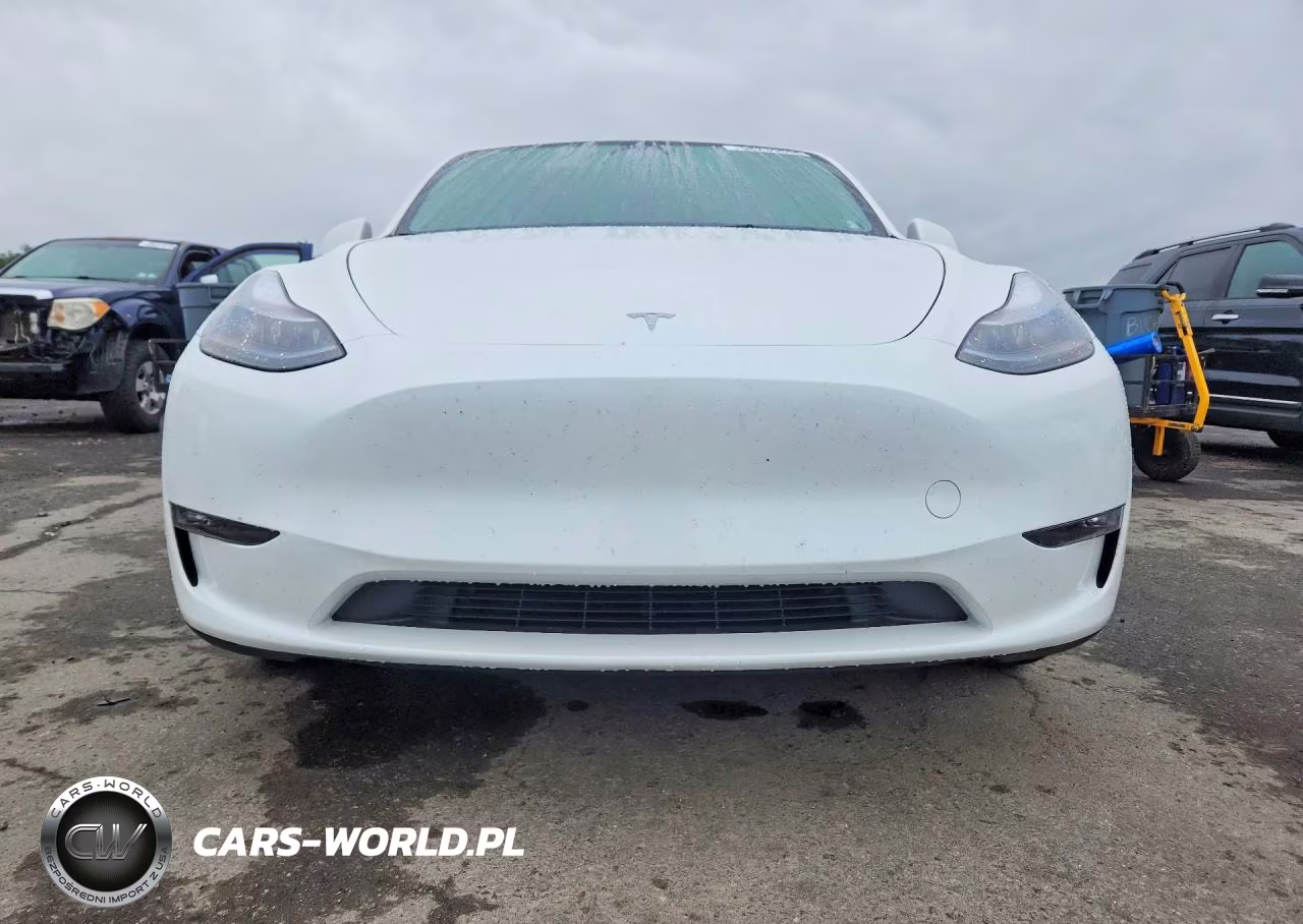 2024 Tesla Model Y VIN:7SAYGDEE1RF197224 - 5