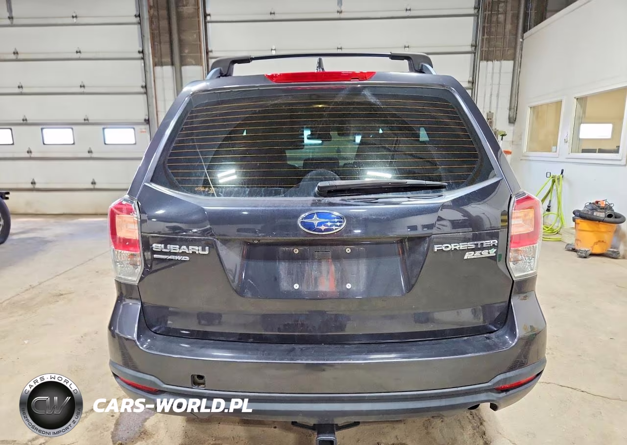 2017 Subaru Forester 2.5I VIN:JF2SJABC5HH594571 - 6
