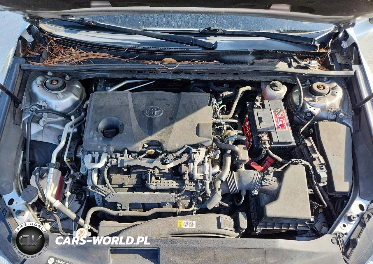 2019 Toyota Camry Le VIN:4T1B11HK1KU232566 - 11
