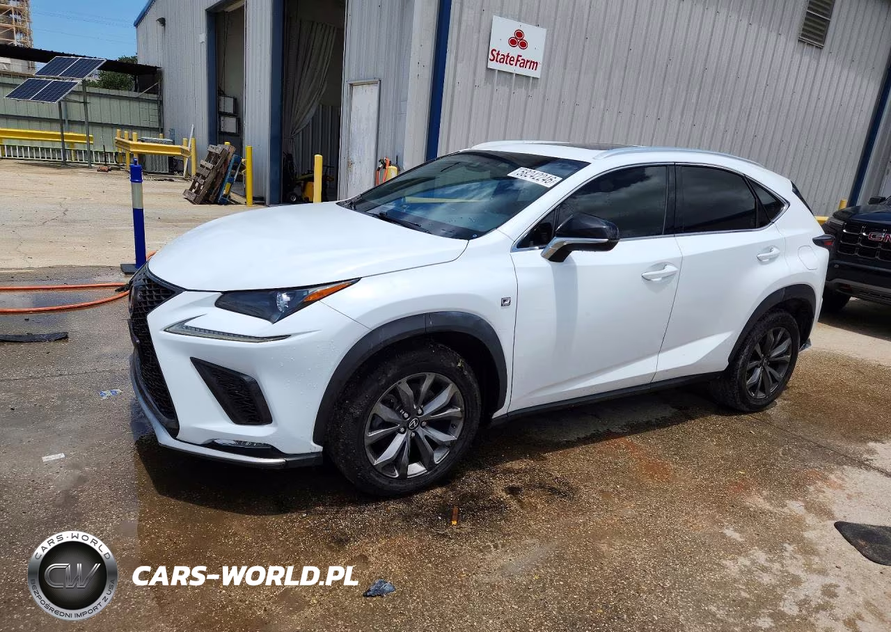 2019 Lexus Nx 300 F Sport VIN:JTJYARBZ0K2117842 - 1