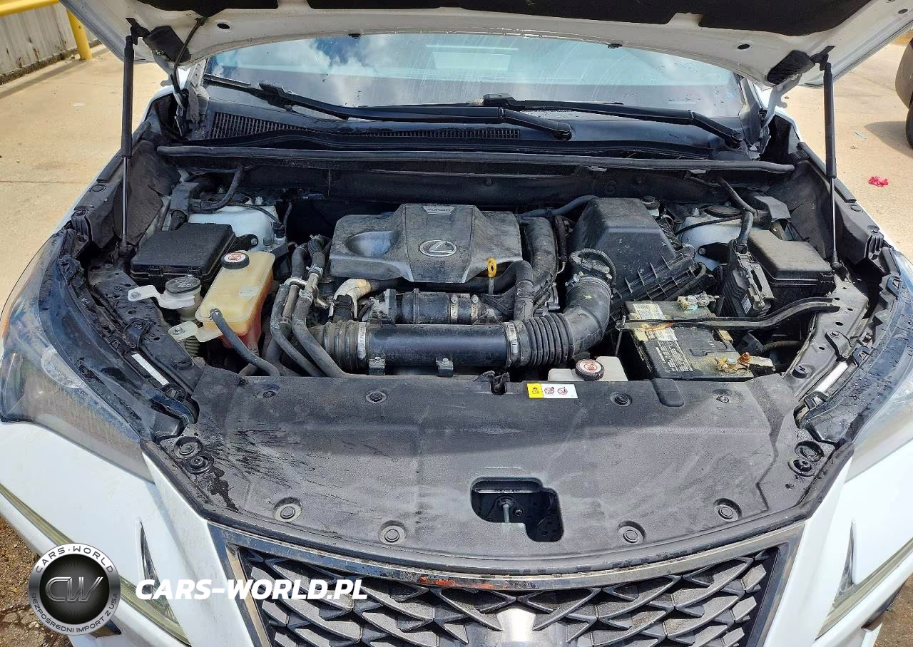 2019 Lexus Nx 300 F Sport VIN:JTJYARBZ0K2117842 - 12