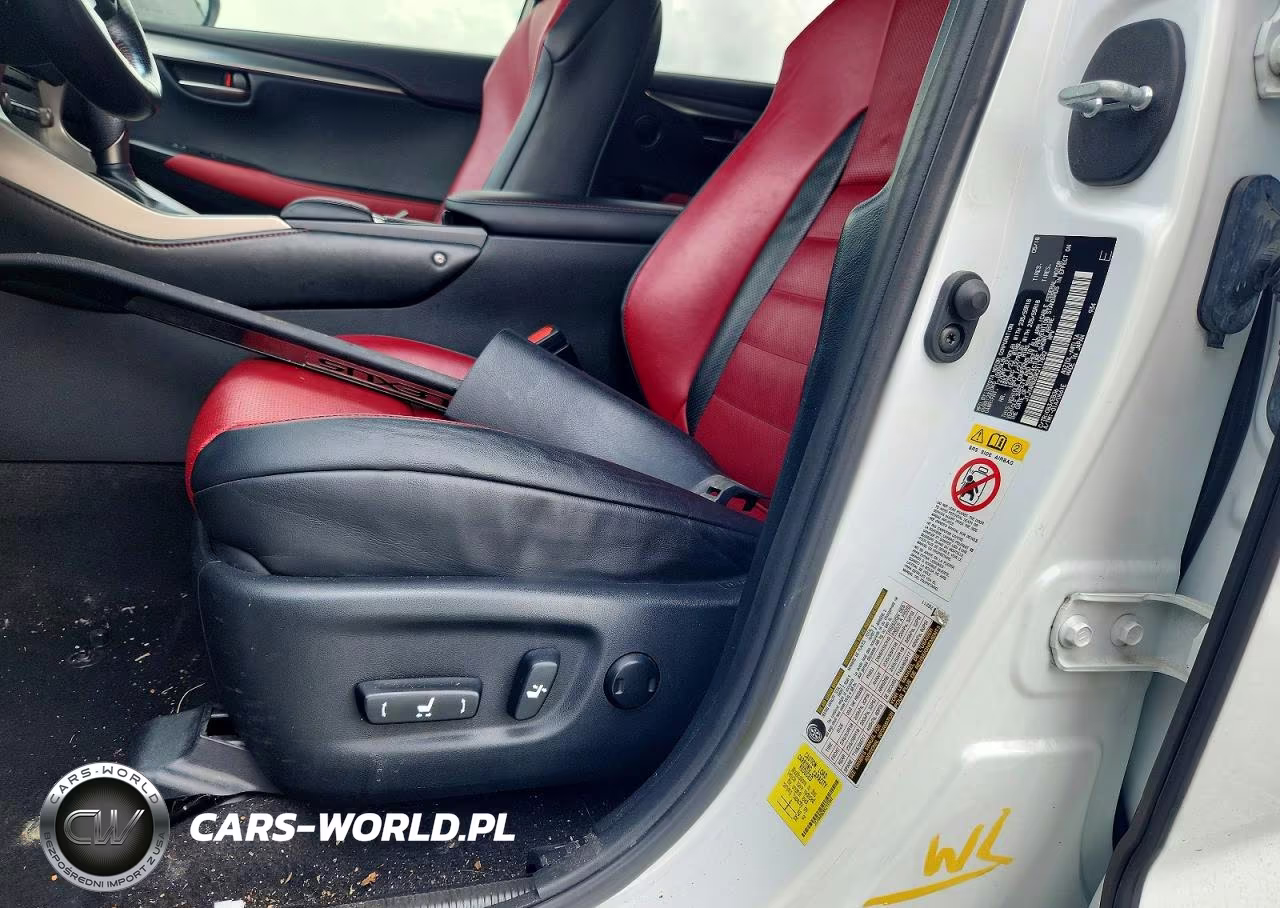 2019 Lexus Nx 300 F Sport VIN:JTJYARBZ0K2117842 - 13