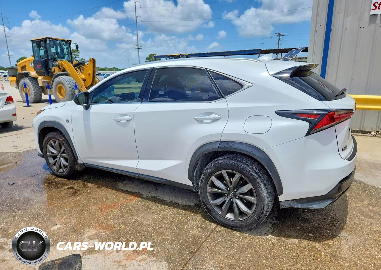 2019 Lexus Nx 300 F Sport VIN:JTJYARBZ0K2117842 - 2
