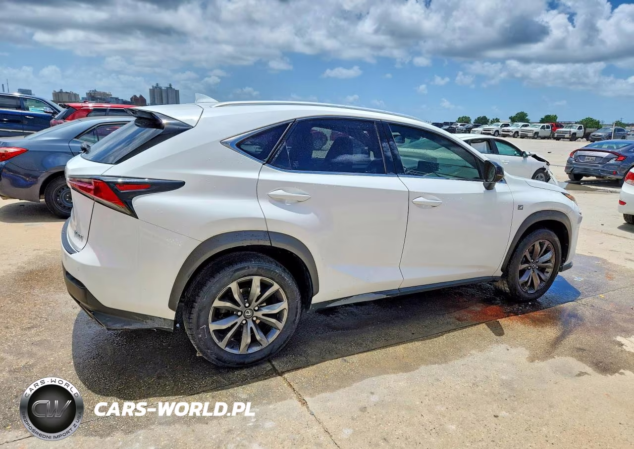 2019 Lexus Nx 300 F Sport VIN:JTJYARBZ0K2117842 - 3