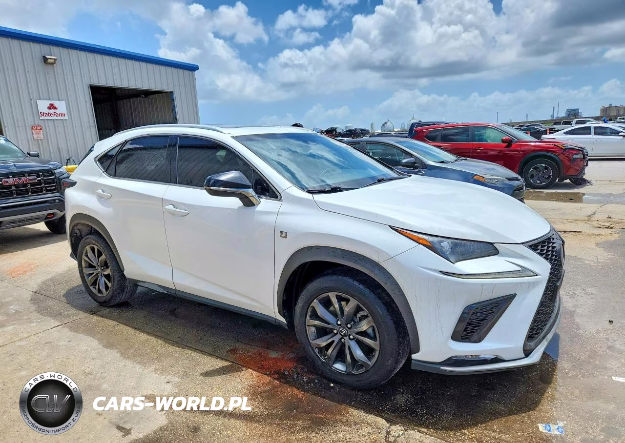 2019 Lexus Nx 300 F Sport VIN:JTJYARBZ0K2117842 - 4