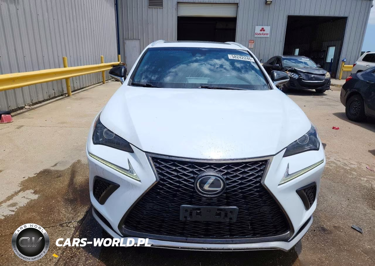 2019 Lexus Nx 300 F Sport VIN:JTJYARBZ0K2117842 - 5