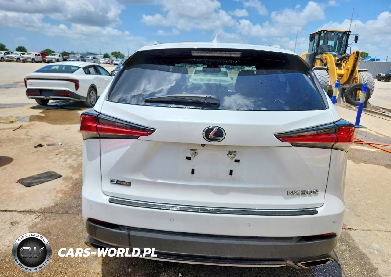 2019 Lexus Nx 300 F Sport VIN:JTJYARBZ0K2117842 - 6