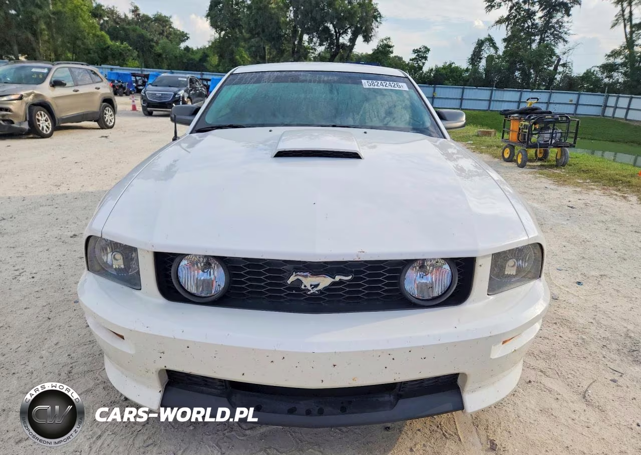 2008 Ford Mustang Gt VIN:1ZVHT82H285148772 - 5