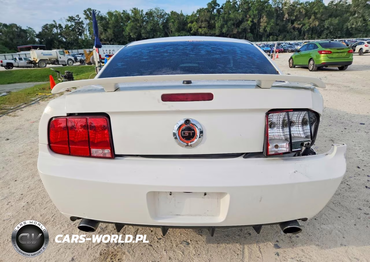 2008 Ford Mustang Gt VIN:1ZVHT82H285148772 - 6