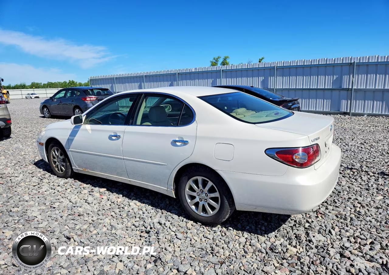 2003 Lexus Es 300 VIN:JTHBF30G436020371 - 2