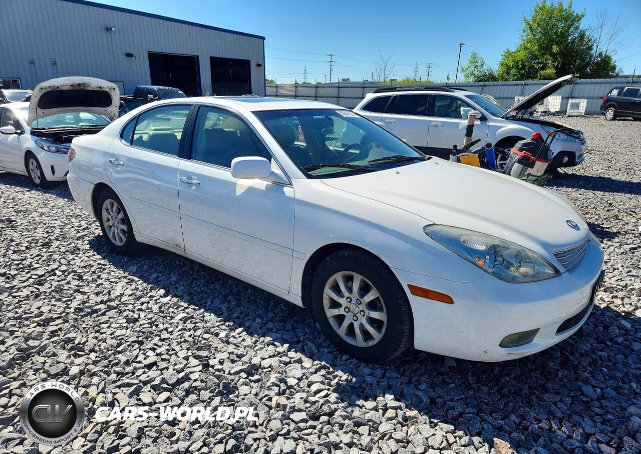 2003 Lexus Es 300 VIN:JTHBF30G436020371 - 4