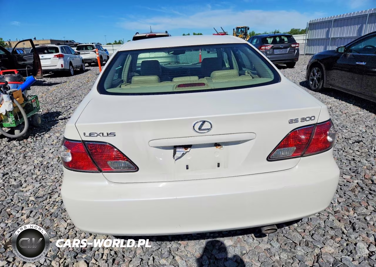 2003 Lexus Es 300 VIN:JTHBF30G436020371 - 6