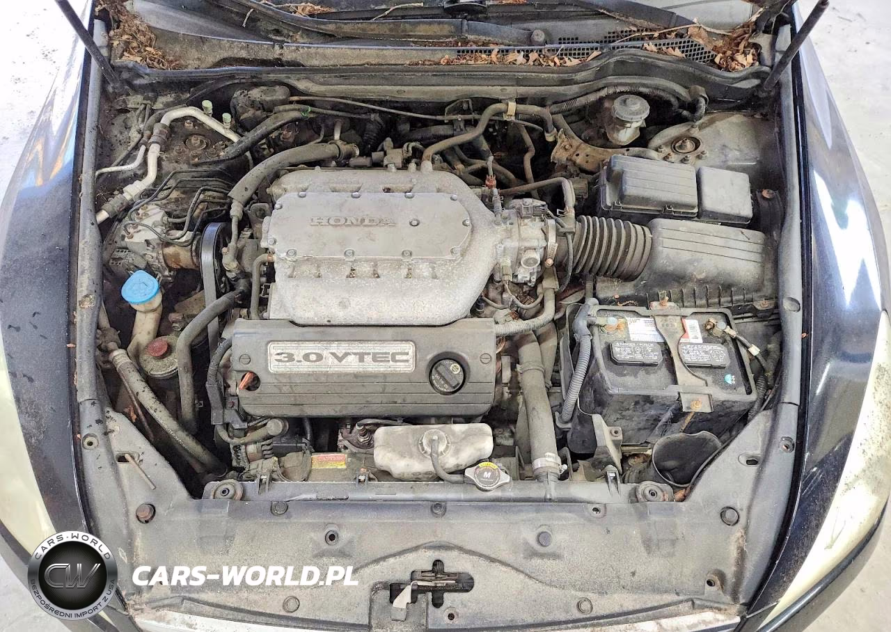 2007 Honda Accord Ex VIN:1HGCM66547A060439 - 11