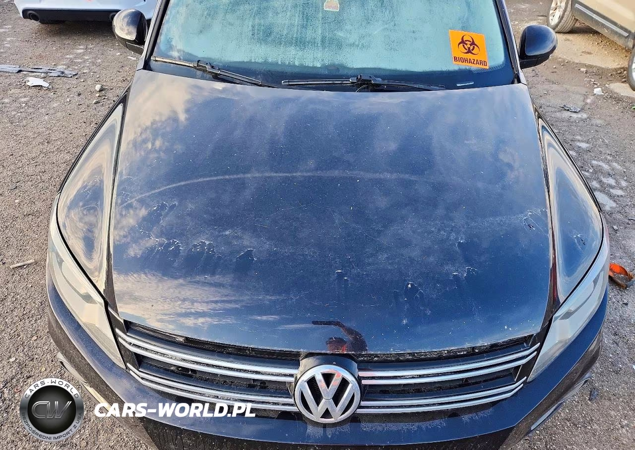2017 Volkswagen Tiguan Sport VIN:WVGUV7AX7HW504895 - 12
