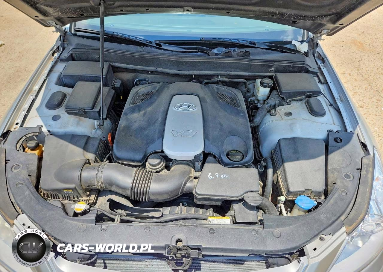 2009 Hyundai Genesis 4.6L VIN:KMHGC46F69U047141 - 11