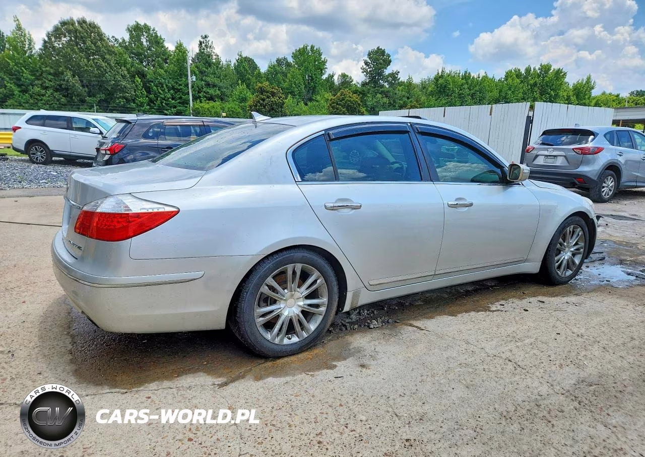 2009 Hyundai Genesis 4.6L VIN:KMHGC46F69U047141 - 3