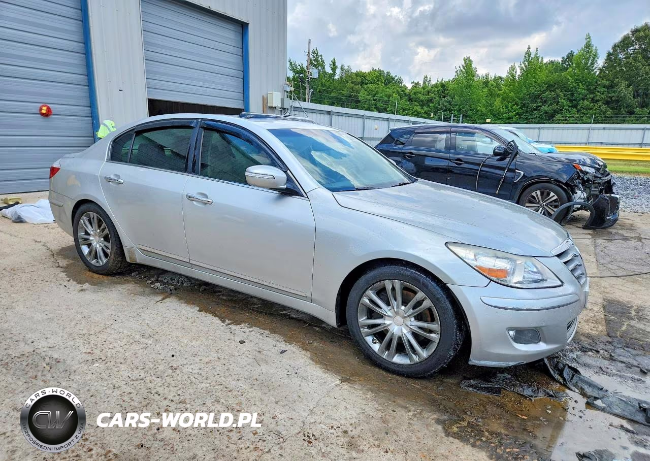 2009 Hyundai Genesis 4.6L VIN:KMHGC46F69U047141 - 4