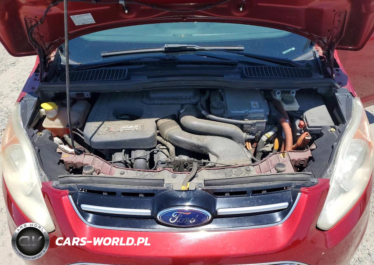 2013 Ford C-Max Premium VIN:1FADP5CU1DL540055 - 11
