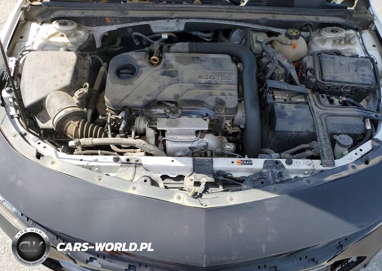 2020 Chev Malibu VIN:1G1ZD5ST2LF038503 - 11