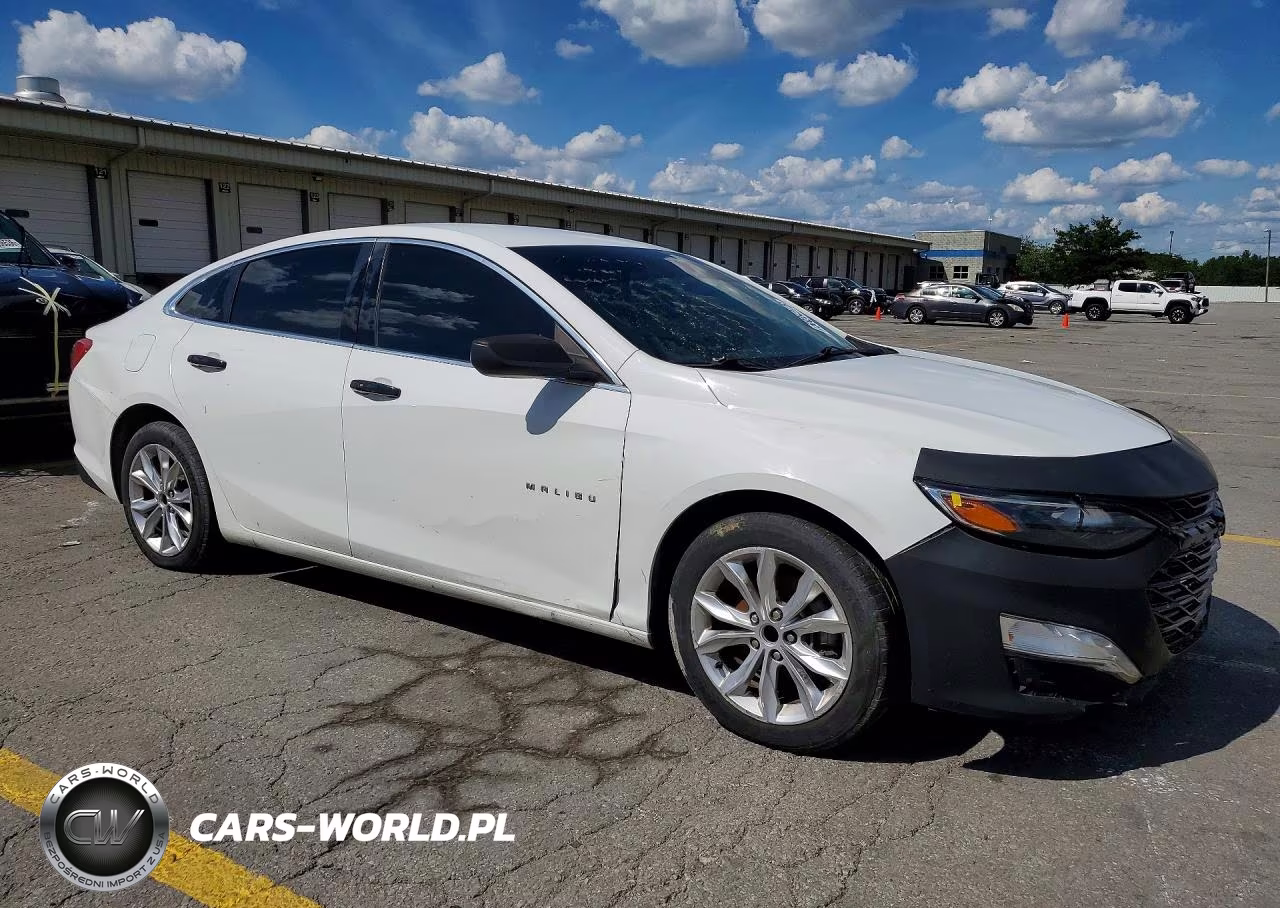 2020 Chev Malibu VIN:1G1ZD5ST2LF038503 - 4