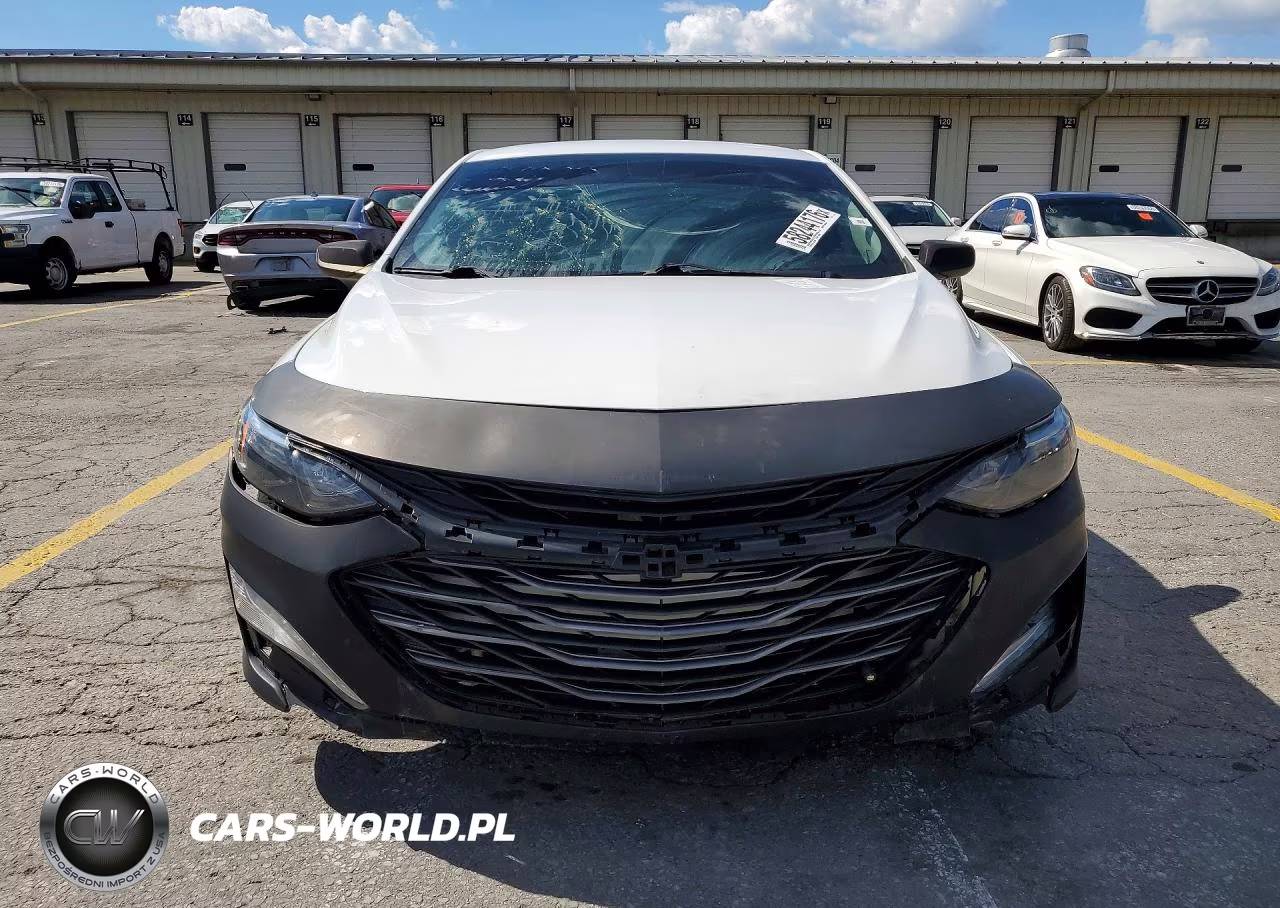 2020 Chev Malibu VIN:1G1ZD5ST2LF038503 - 5