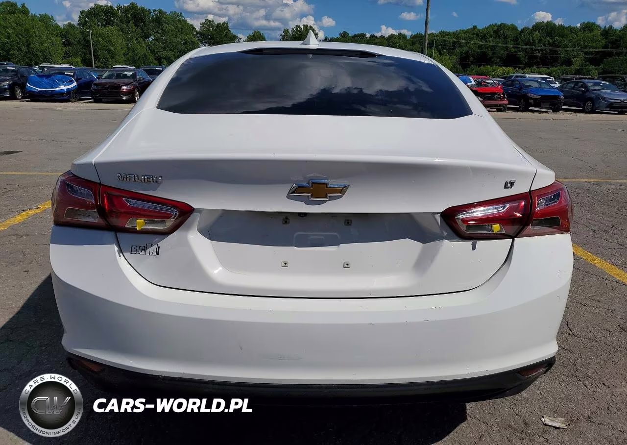 2020 Chev Malibu VIN:1G1ZD5ST2LF038503 - 6