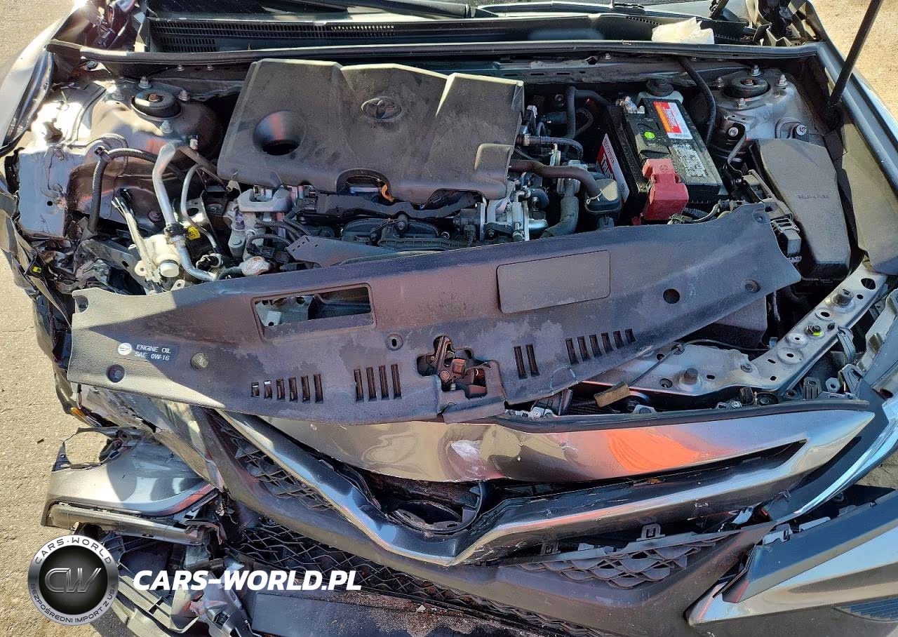 2019 Toyota Camry Se VIN:4T1B11HK1KU807796 - 11