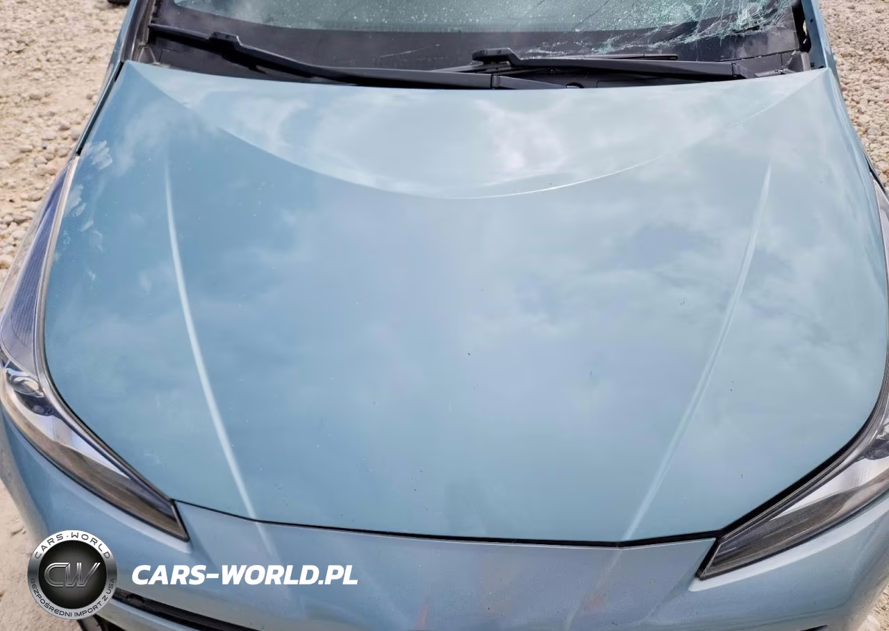 2020 Toyota Prius Xle Awd-E VIN:JTDL9RFU0L3019393 - 11