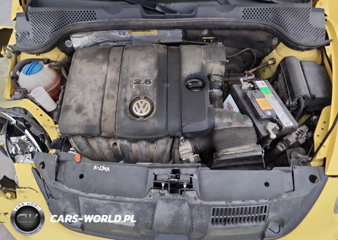 2013 Volkswagen Beetle VIN:3VWJP7AT2DM667816 - 11