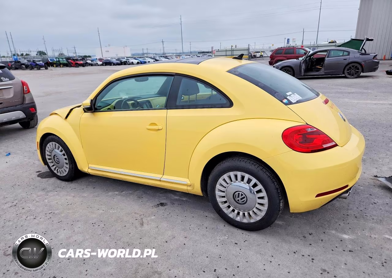 2013 Volkswagen Beetle VIN:3VWJP7AT2DM667816 - 2