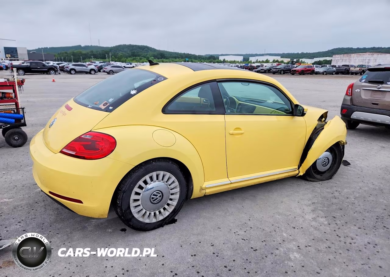 2013 Volkswagen Beetle VIN:3VWJP7AT2DM667816 - 3