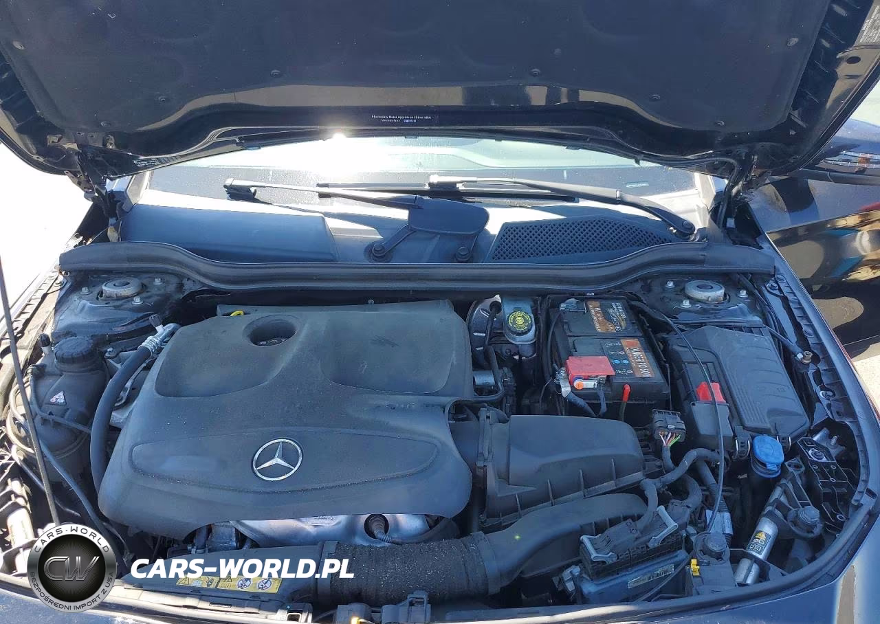 2014 Mercedes-Benz Cla 250 4Matic VIN:WDDSJ4GB7EN141202 - 11