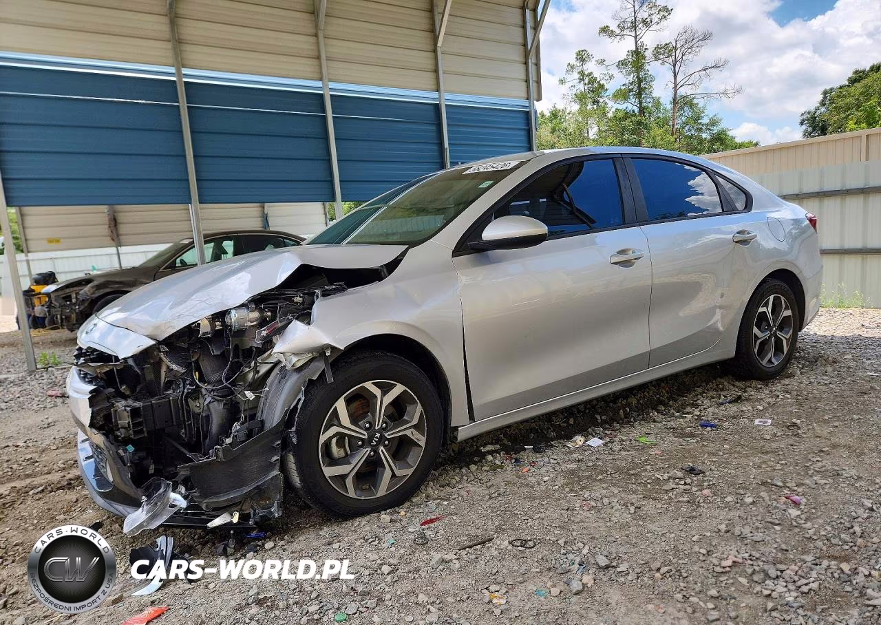 2019 Kia Forte Lxs