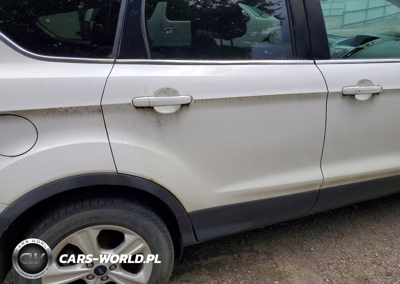 2014 Ford Escape Se VIN:1FMCU0G95EUD38429 - 11