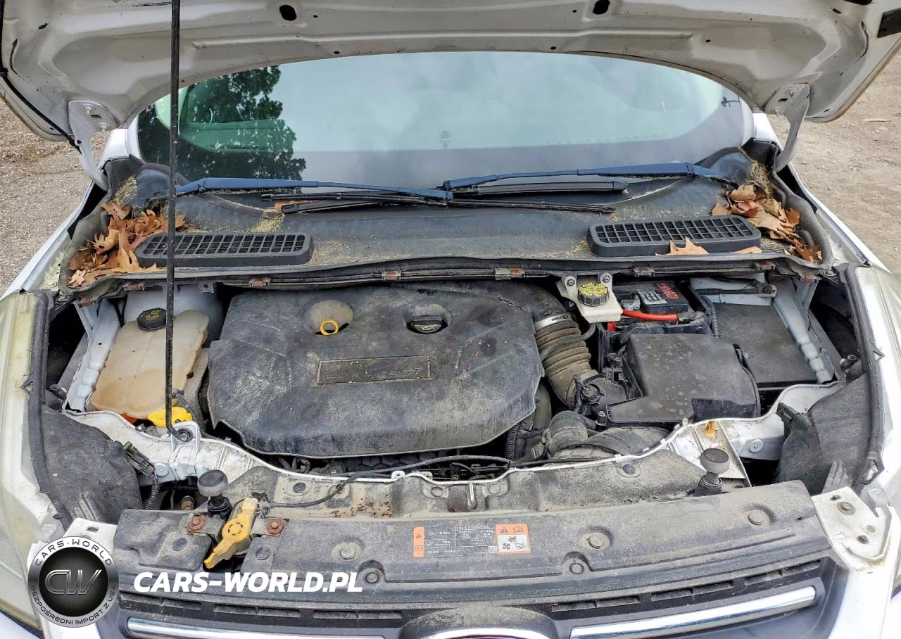 2014 Ford Escape Se VIN:1FMCU0G95EUD38429 - 12