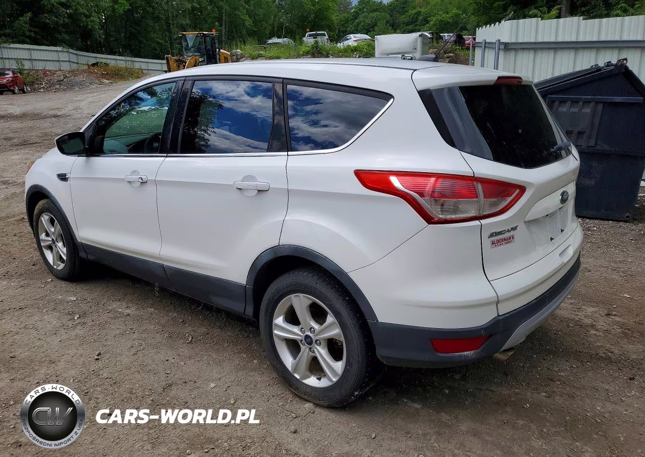 2014 Ford Escape Se VIN:1FMCU0G95EUD38429 - 2