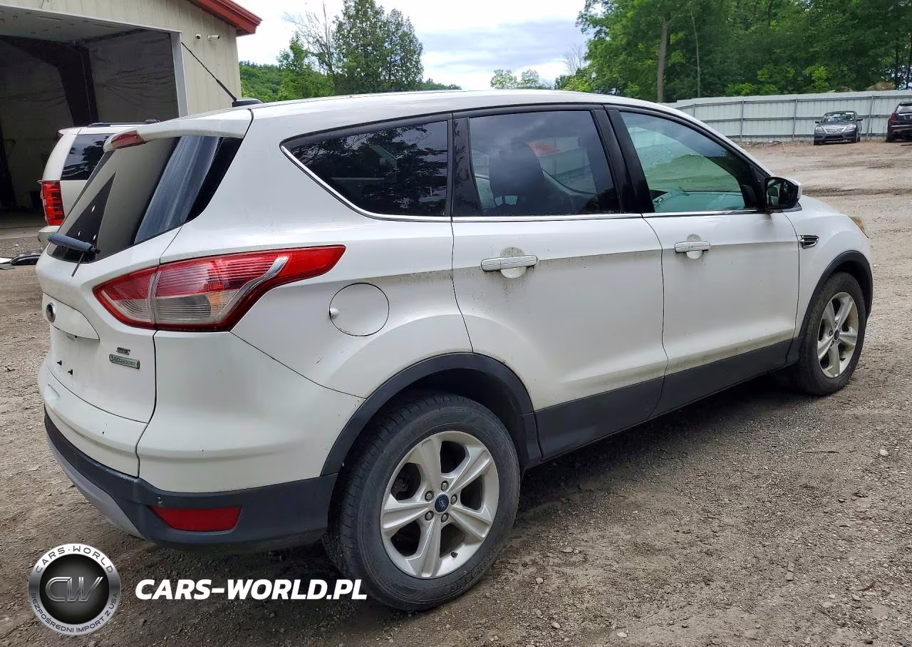 2014 Ford Escape Se VIN:1FMCU0G95EUD38429 - 3
