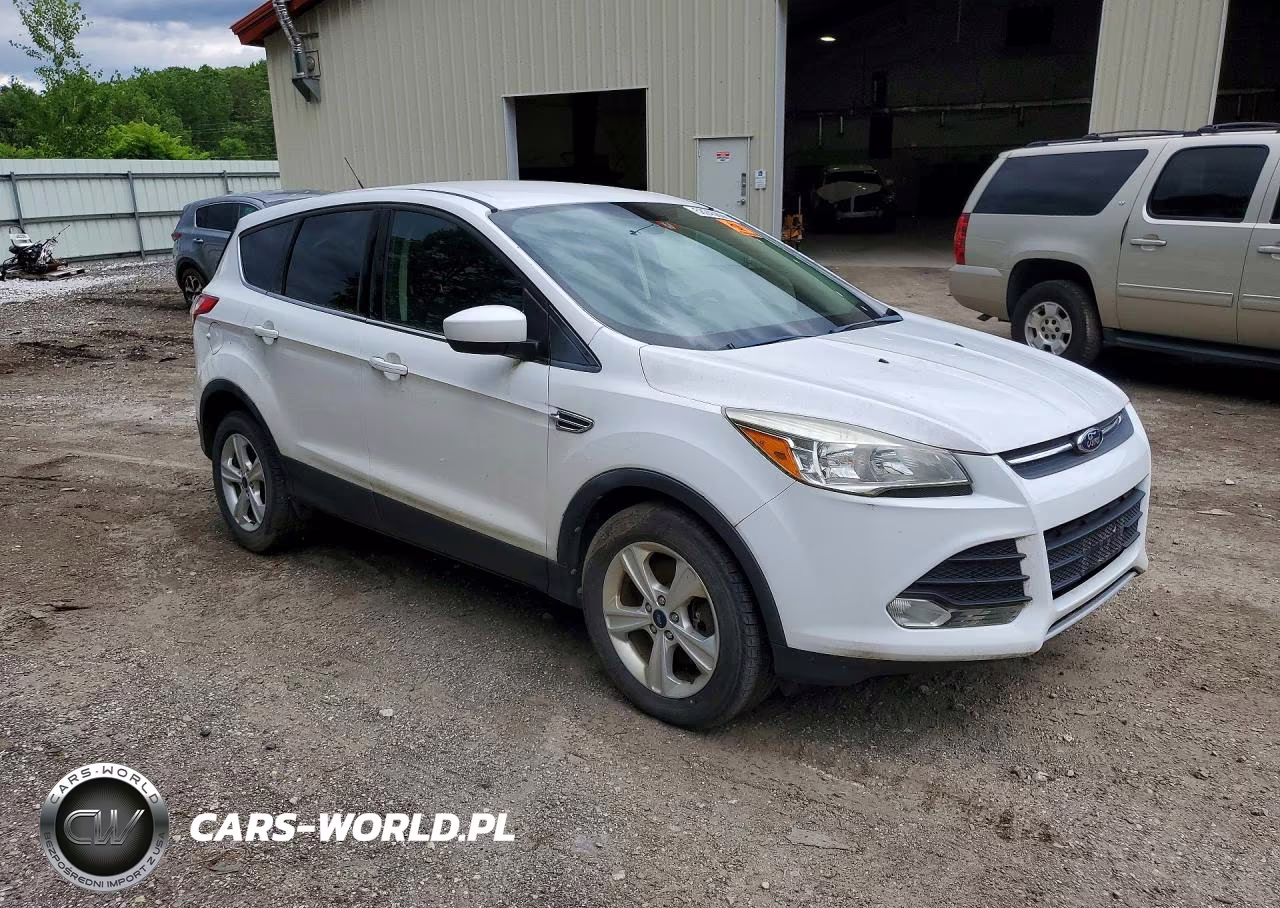 2014 Ford Escape Se VIN:1FMCU0G95EUD38429 - 4