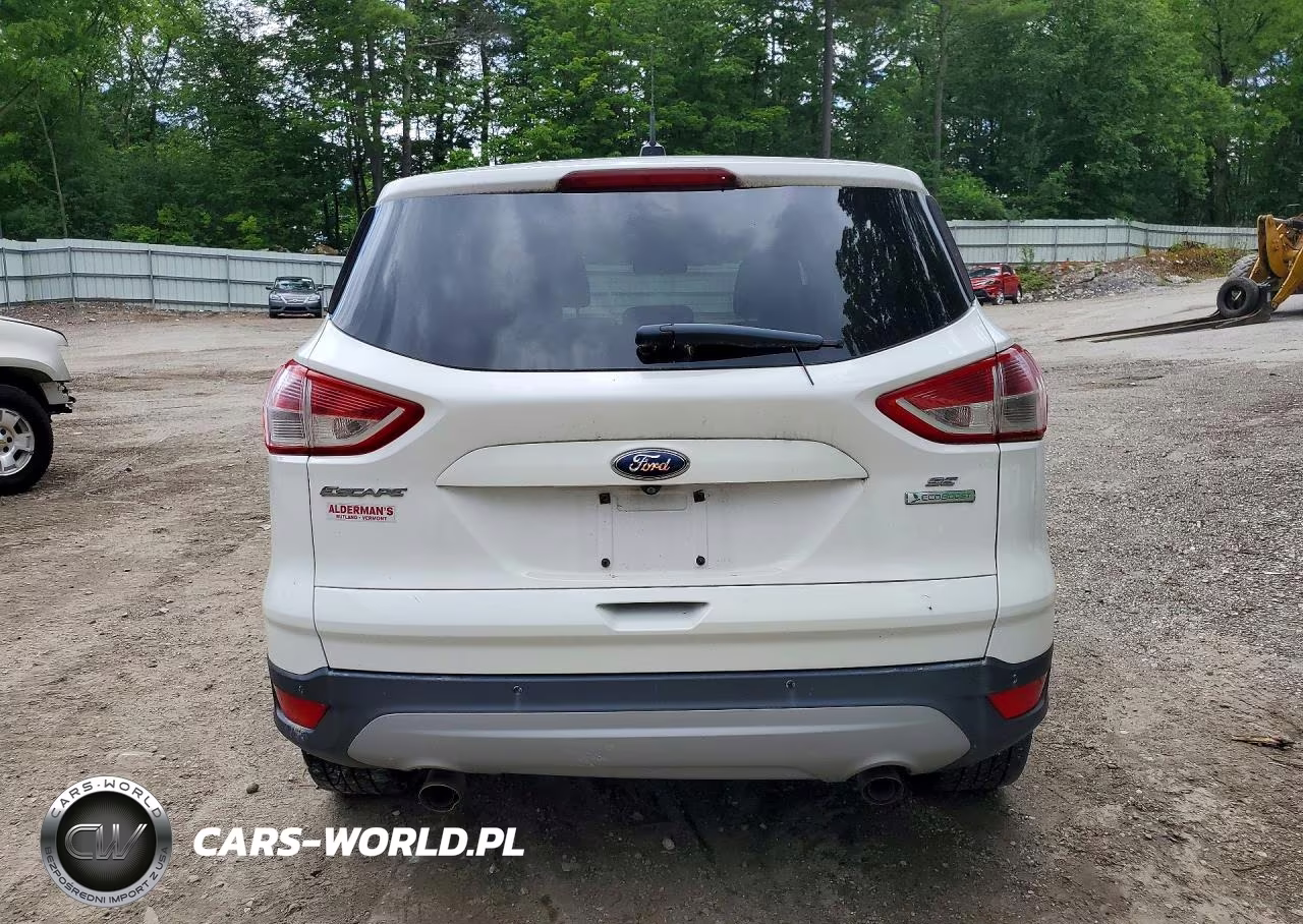 2014 Ford Escape Se VIN:1FMCU0G95EUD38429 - 6