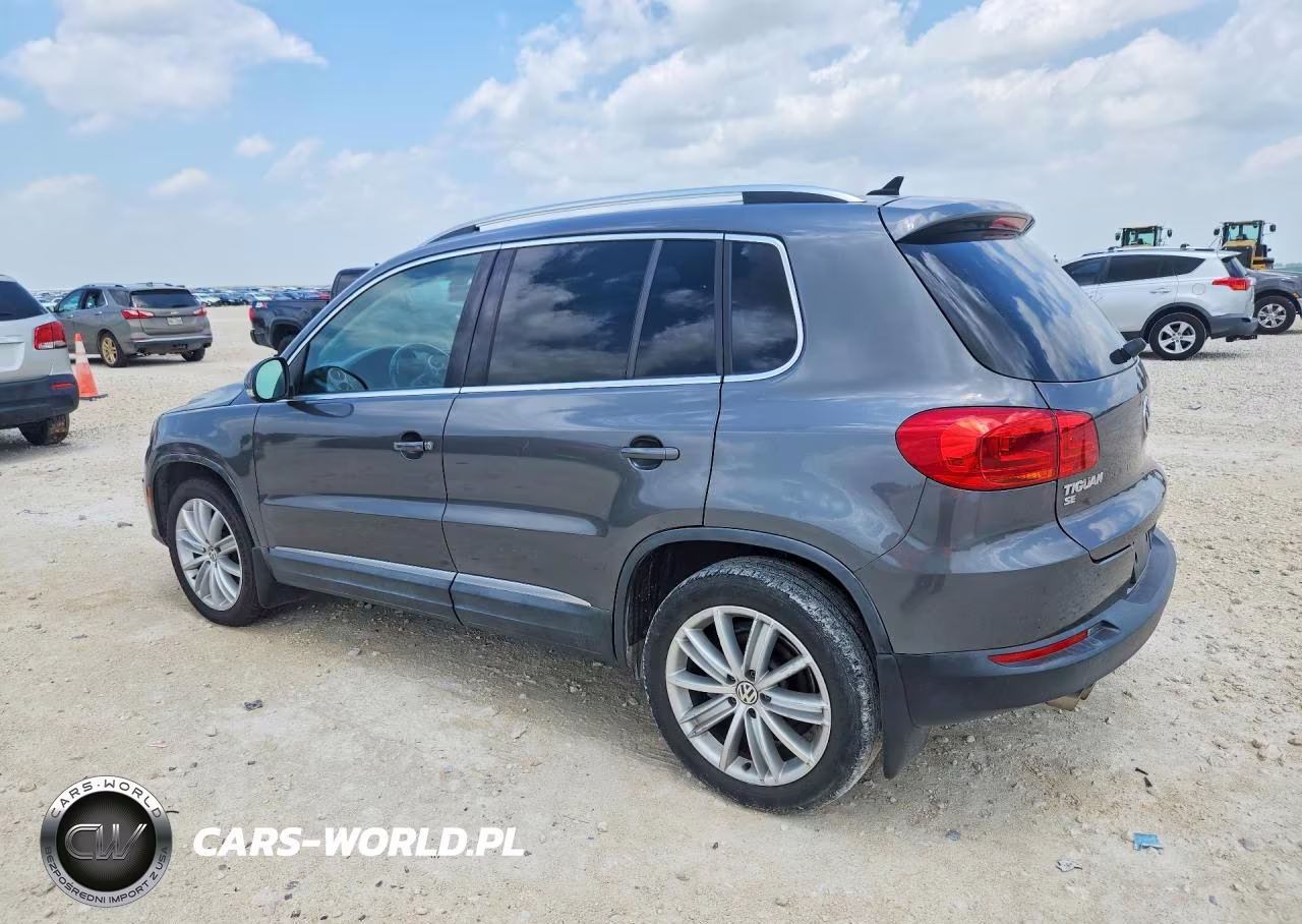 2016 Volkswagen Tiguan S VIN:WVGAV7AX8GW557669 - 2
