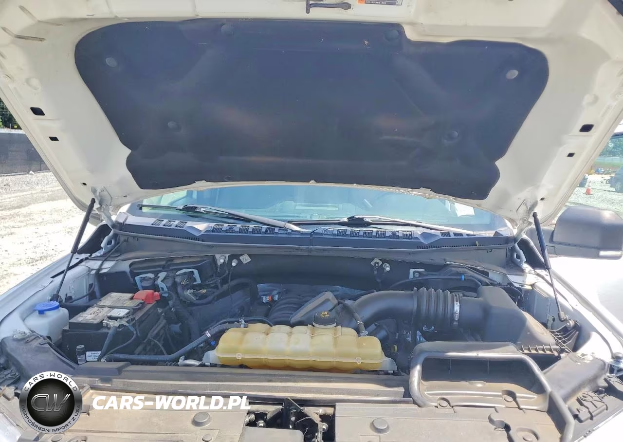 2019 Ford F150 Supercrew VIN:1FTEW1E50KKF08992 - 11