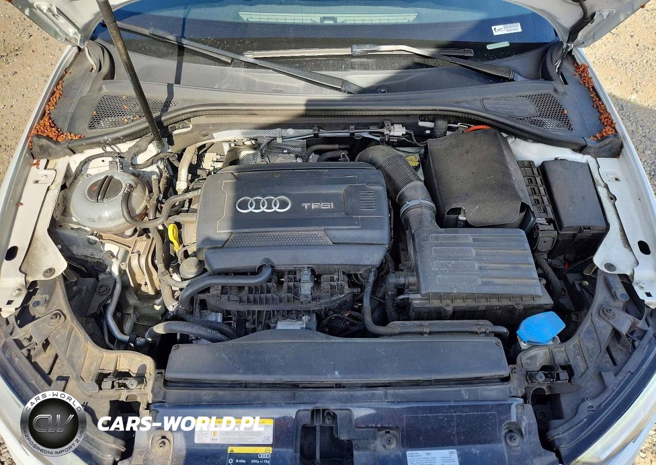 2017 Audi A3 Premium Plus VIN:WAUJ8GFFXH1079777 - 11