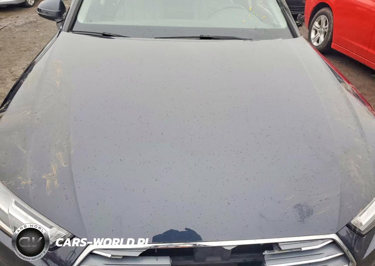 2018 Audi A4 Premium Plus VIN:WAUENAF41JA093871 - 11