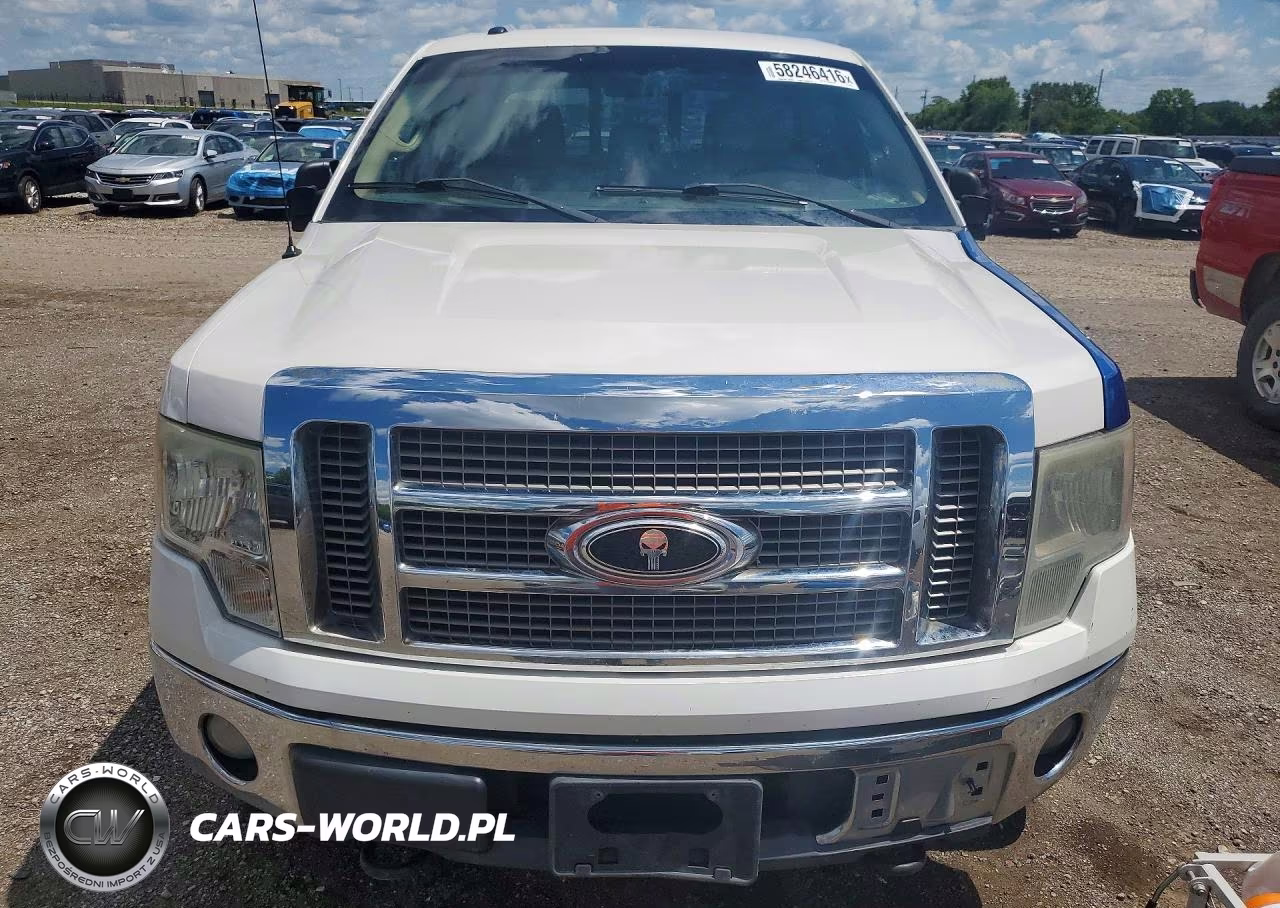 2011 Ford F150 Supercrew VIN:1FTFW1EF5BFD35184 - 7