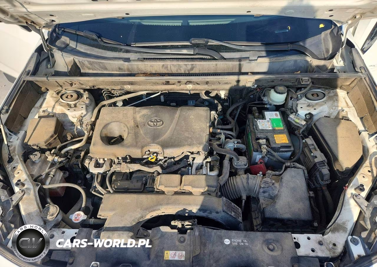 2019 Toyota Rav4 Xle VIN:JTMW1RFV3KD032564 - 12