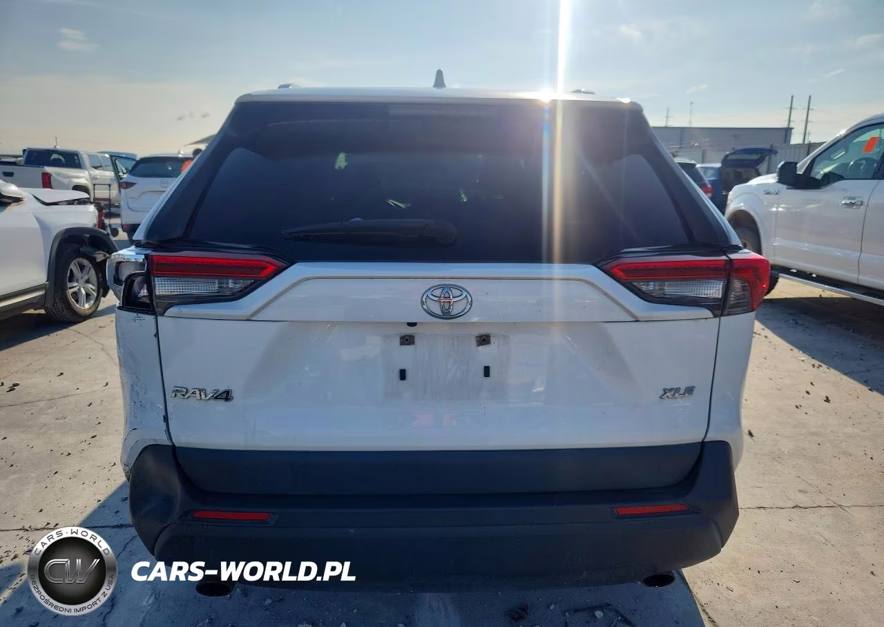 2019 Toyota Rav4 Xle VIN:JTMW1RFV3KD032564 - 6