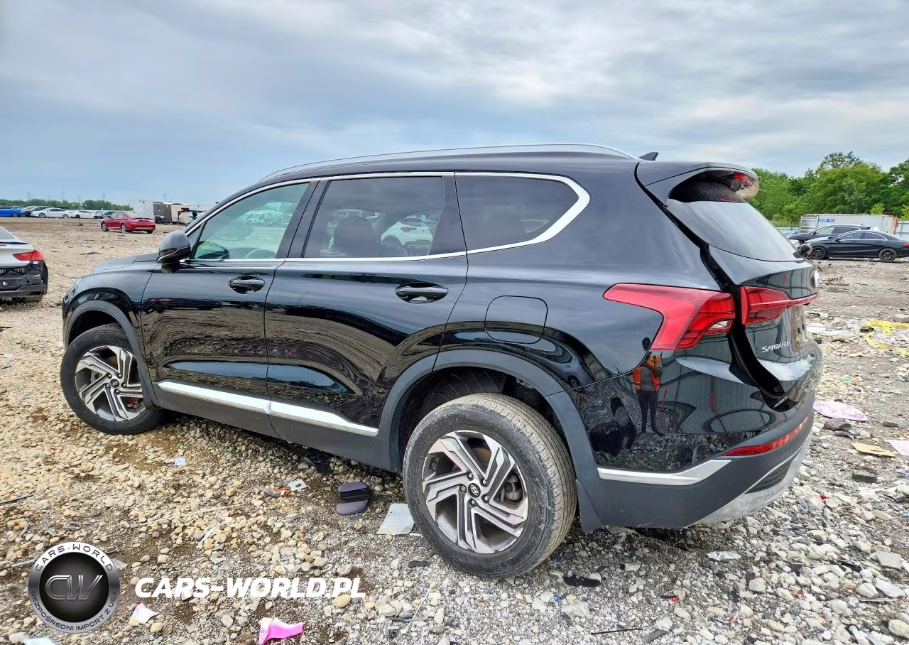 2021 Hyundai Santa Fe Sel VIN:5NMS2DAJ1MH357419 - 2