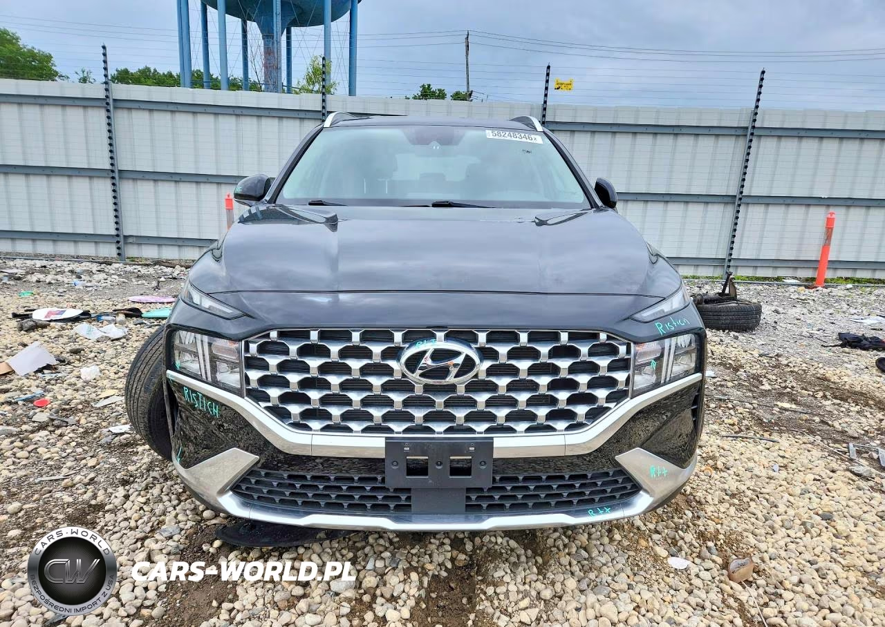2021 Hyundai Santa Fe Sel VIN:5NMS2DAJ1MH357419 - 5