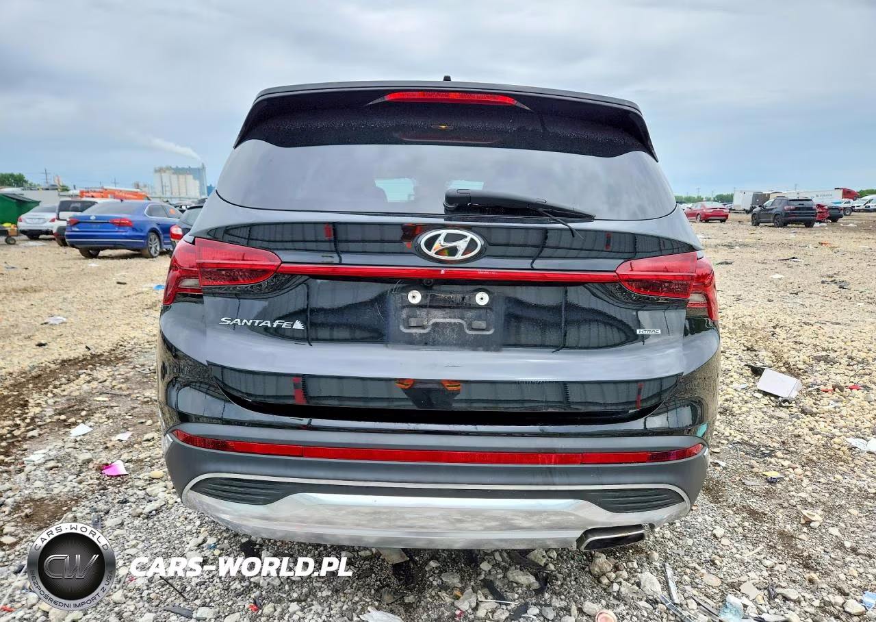2021 Hyundai Santa Fe Sel VIN:5NMS2DAJ1MH357419 - 6